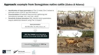 How to prioritize data collection for livestock GHG inventory in Africa [upl. by Llerraf988]