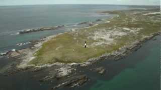 Welcome to the Falkland Islands [upl. by Senior]