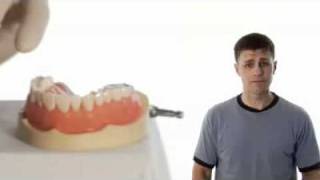 Brushing and Flossing 3 Times a Day [upl. by Ecertal]