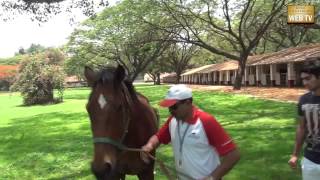 RCB Team Outing at Kunigal Stud Farm  Part2 [upl. by Gillmore]