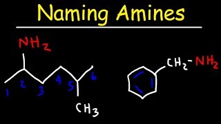 Naming Amines  IUPAC Nomenclature amp Common Names [upl. by Ingraham]