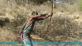 Hadzabe tribe the last hunters and gatherers of Tanzania  Edited by Carmine Salituro [upl. by Eclud]