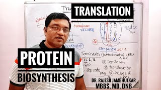 6 Protein Biosynthesis Translation in Eukaryote New [upl. by Dragon]