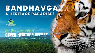 Bandhavgarh’s Historical Gems amp Investment Opportunities at Green Heritage Resort [upl. by Darcia]