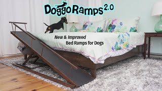 DoggoRamps 20  The BEST Bed Ramp for Small Dogs [upl. by Sairtemed]