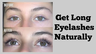 How To Get Long Eyelashes Naturally  Grow Longer Eyelashes [upl. by Bromley917]