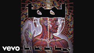 TOOL  Lateralus Audio [upl. by Bust]