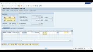 Vendor Payment with Cash in SAP HANA solution [upl. by Llirred]