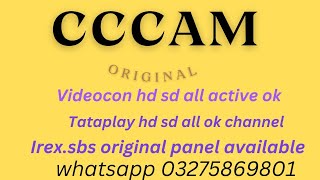 Free cccam 2023 videocon HD Cline  10 Free Cline [upl. by Coshow61]