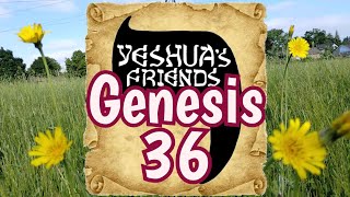 Bible Reading on Genesis 36 CJB Version [upl. by Lledniuq]