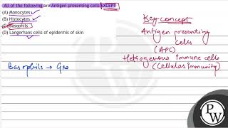 All of the following are Antigen presenting cells EXCEPT A Monocytes B Histocvtes C Basoph [upl. by Vine]