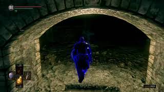 Dark Souls Remastered  Invading Gravelord Servant in Catacombs [upl. by Acireit31]