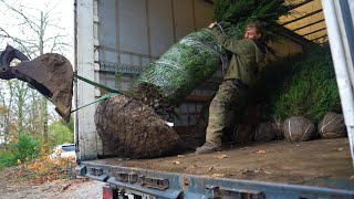 We got an entire forest DELIVERED [upl. by Durham]