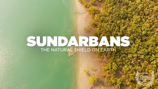 SUNDARBAN Tour  The Natural Shield on Earth  Sundarban National Park Delta  Sundarban Documentary [upl. by Adlih]