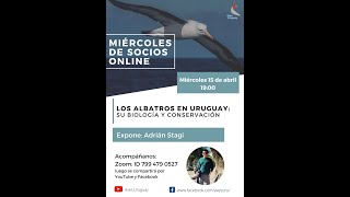 Los Albatros en Uruguay su biología y conservación [upl. by Yesrej]