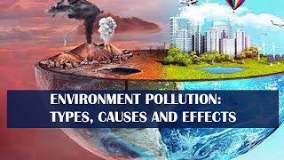 Environment Pollution Types Causes and Effects infographic [upl. by Sophie]