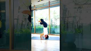 Yoga practice for beginners  yoga poses  yoga practice yoga trending ytshorts video [upl. by Isaiah193]