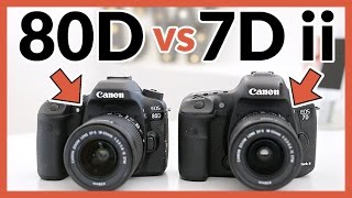 Canon 80D vs Canon 7D Mark ii  In Depth Comparison Review [upl. by Sedecram722]