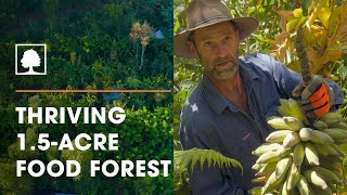 Incredible 15Acre Syntropic Food Forest with Over 250 Plant Species  The Food Forest Farmers [upl. by Hollister]