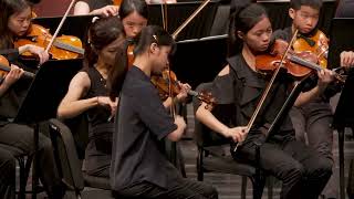 12 Concerto Grosso For Strings Karl Jenkins Palladio [upl. by Burrow]