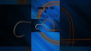 Quick Palomar knot tutorial [upl. by Nifares454]