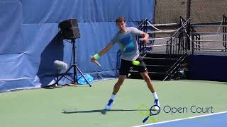 Citi Open 2017 Dimitrov and Thiem on the practice court [upl. by Elyrehc172]