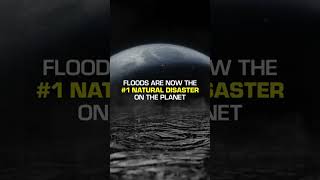 Flex Seal Flood Protection [upl. by Enom]