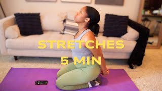 Quick Stretching Exercises 5 Min [upl. by Salazar]