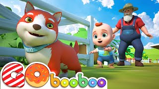 Bingo Version 1  Nursery Rhymes amp Kids Songs  Song BooBoo [upl. by Miehar352]