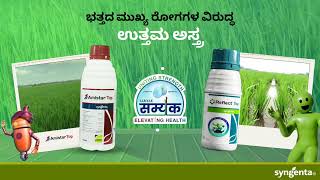 Samyak Product Video Kannada  Syngenta [upl. by Selene]