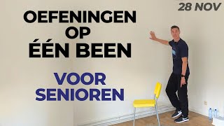 Oefeningen op één been voor OUDEREN uitdagend Spierkracht verbeteren voor 60plussers [upl. by Pradeep555]