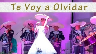 TE VOY A OLVIDAR  Homenaje Juan Gabriel  Silvia Zepeda [upl. by Nnylram]