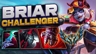 How To Play Briar Jungle Like A Challenger CARRY  Indepth Guide Learn All ELO [upl. by Yrret]