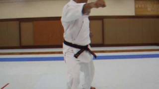 Israel Shotokan Eli Cohen Heian Sandan Slow [upl. by Constantia]