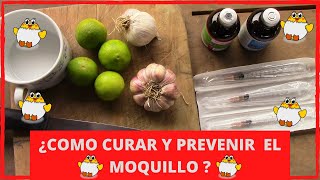 Como curar el moquillo en pollos gallos y gallinas ll remedio casero ll Granja Fina 2021 🐔🐤🐓 [upl. by Tnomad]