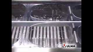 Thermoformage sous vide poulet film flexible  ULMA Packaging [upl. by Ahsrop]