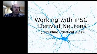 iPSC Derived Human Neurons Introduction and Application [upl. by Ahseena156]