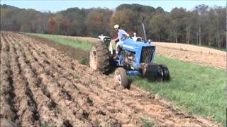 ford 6600 plowing with MF four bottom [upl. by Laural]