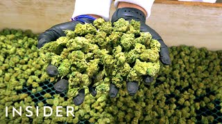 How Lowell Herb Co Makes 4 Million Joints A Year [upl. by Richards630]