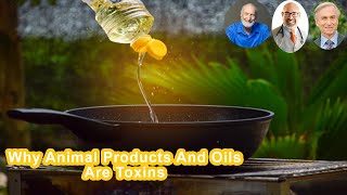 Why Animal Products And Oils Are Toxins [upl. by Rhody]