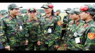 Vietnamese National Army [upl. by Duwalt]