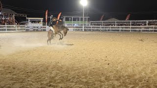 The Rupununi Ranchers Rodeo 2023 Lethem [upl. by Atolrac190]