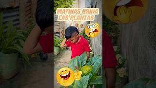 Mathias orina las plantas [upl. by Nerti382]