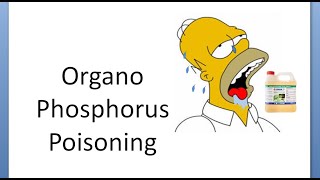 Medicine 458 OrganoPhosphorus Poisoning Atropine Pralidoxime farmer antidote OP pesticide [upl. by Dibru415]