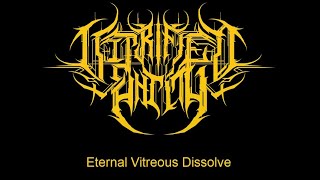 Eternal Vitreous Dissolve Pre Production Teaser [upl. by Wolbrom305]