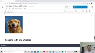 How to use VGG16 as a pretrained model in 8 minutes [upl. by Ambrosane]