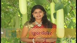 KRISHI DARSHAN NARROWCASTING  LAUKI KI VAIGYANIK KHETI DT 21112016 [upl. by Aihsakal]