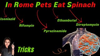 Anti Tuberculosis Drugs Classification Tricks amp Mnemonics [upl. by Nnaacissej905]