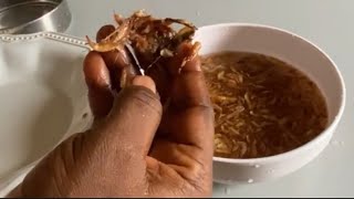 AVOID HEALTH ISSUES DO THIS TO YOUR CRAYFISH BEFORE CONSUMPTION [upl. by Gardener]