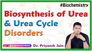 Biosynthesis Of Urea Urea cycle Steps Site Regulation and Urea cycle disorders  USMLE Step 1 [upl. by Weirick]